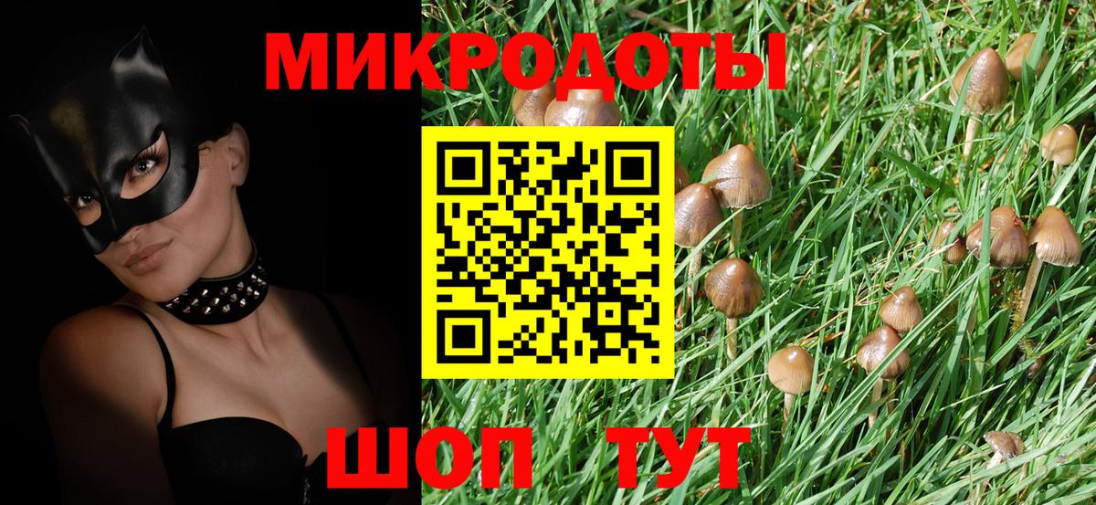 Псилоцибиновые грибы Psilocybine cubensis Благодарный