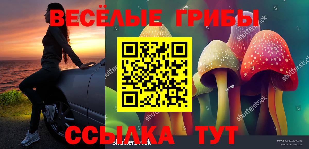 Псилоцибиновые грибы ЛСД  Вход с VPN  Галлюциногенные грибы ЛСД  Благодарный 